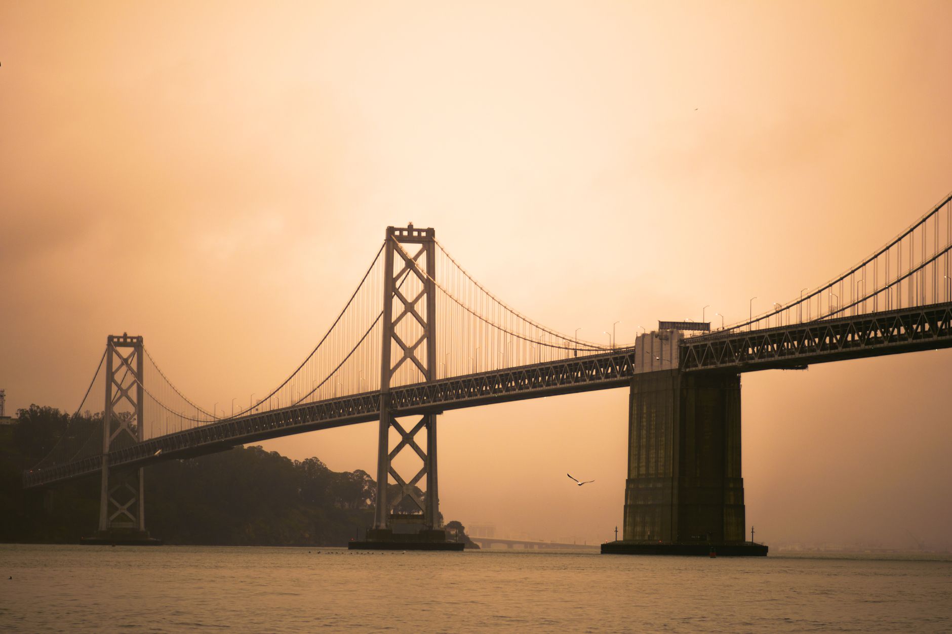Online life coaching across California